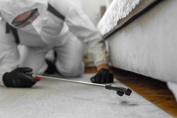 Professional Bed Bug Control technician working in Marysville, CA