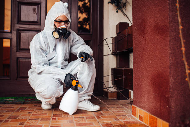 Reliable Bed Bug Control contractor in Marysville, CA by Nex Pest Control