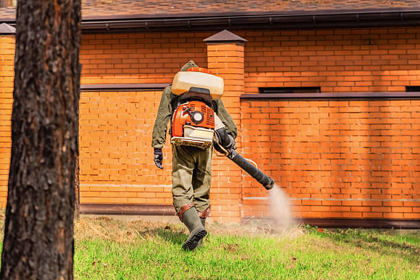Trusted Ant Control service in Marysville, CA - Nex Pest Control